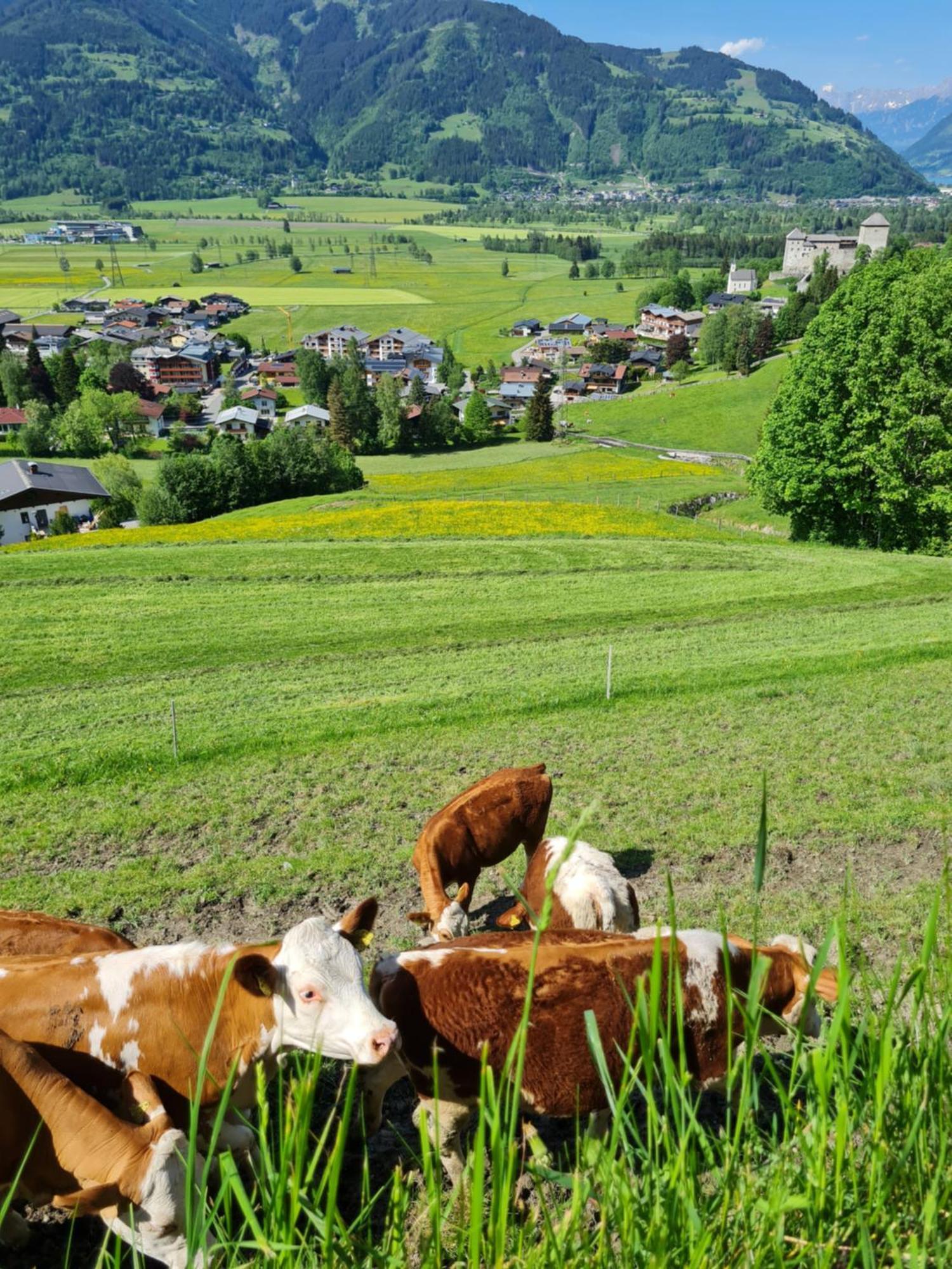 Panorama Hotel Guggenbichl - Inkl Sommerkarte, Freier Eintritt Ins Tauern Spa & Bester Ausblick Uber Kaprun Bagian luar foto